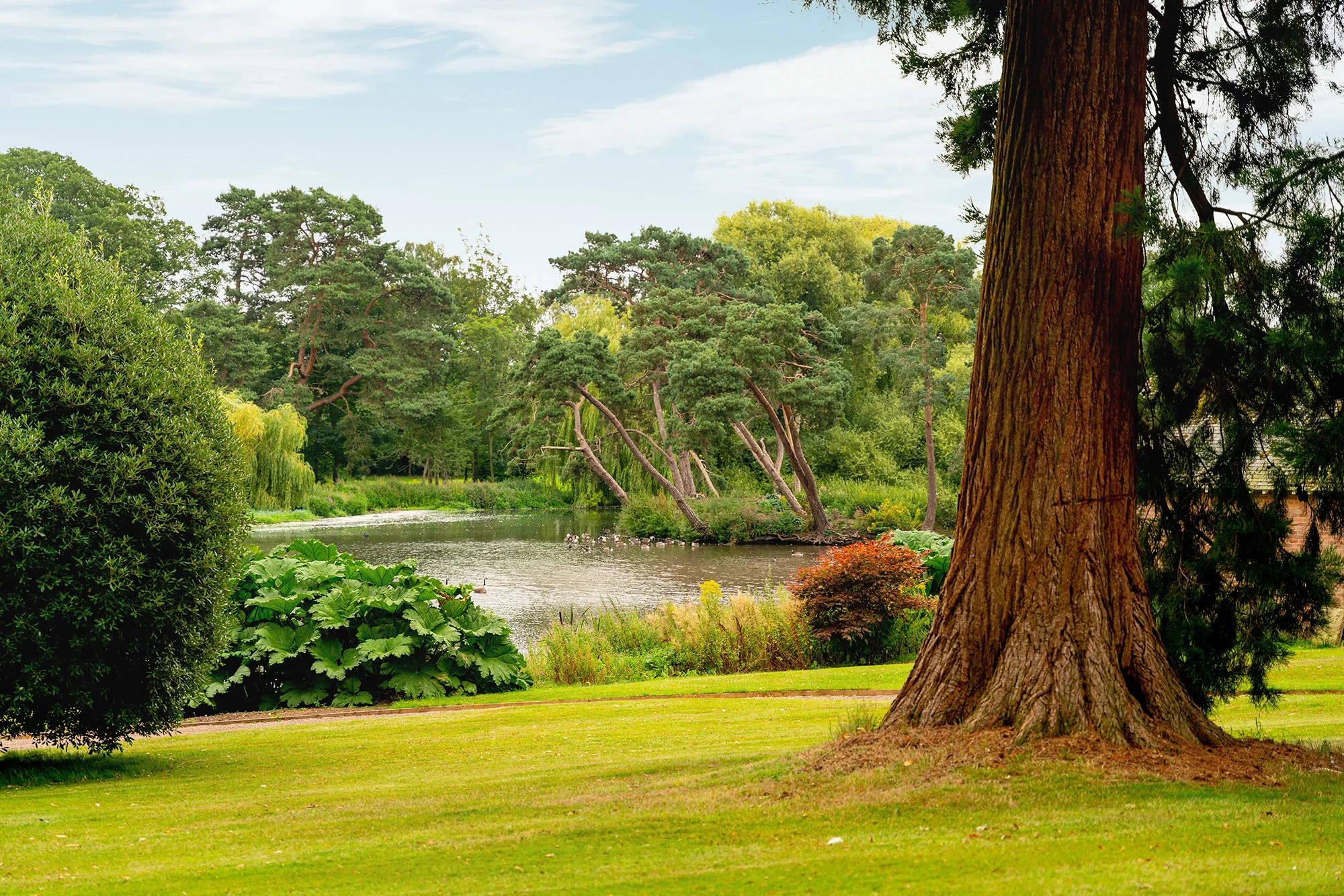 Peplow Hall Shropshire 55