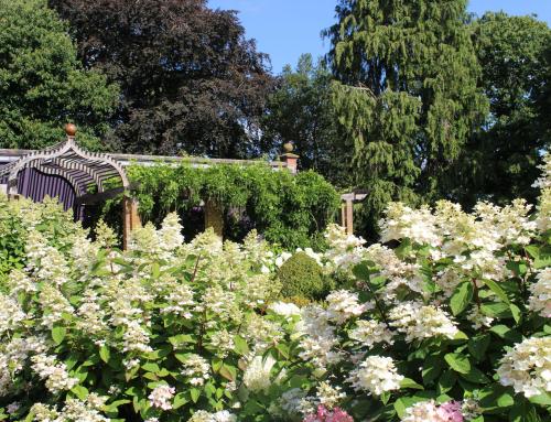 Five Stunning Gardens to Visit While Staying at Peplow Hall