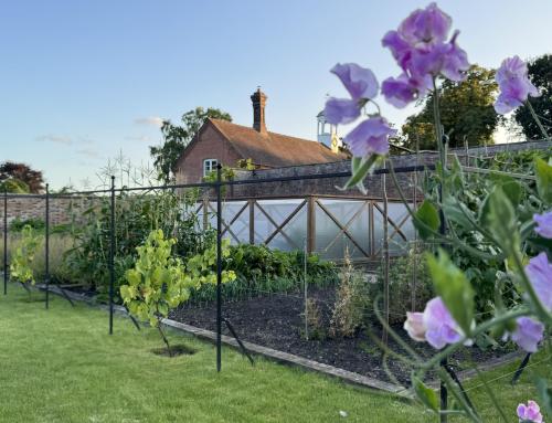 August In The Kitchen Garden