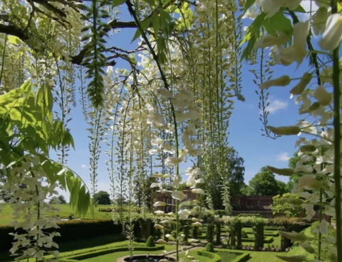 Why You Should Stay at Peplow Hall This Summer!