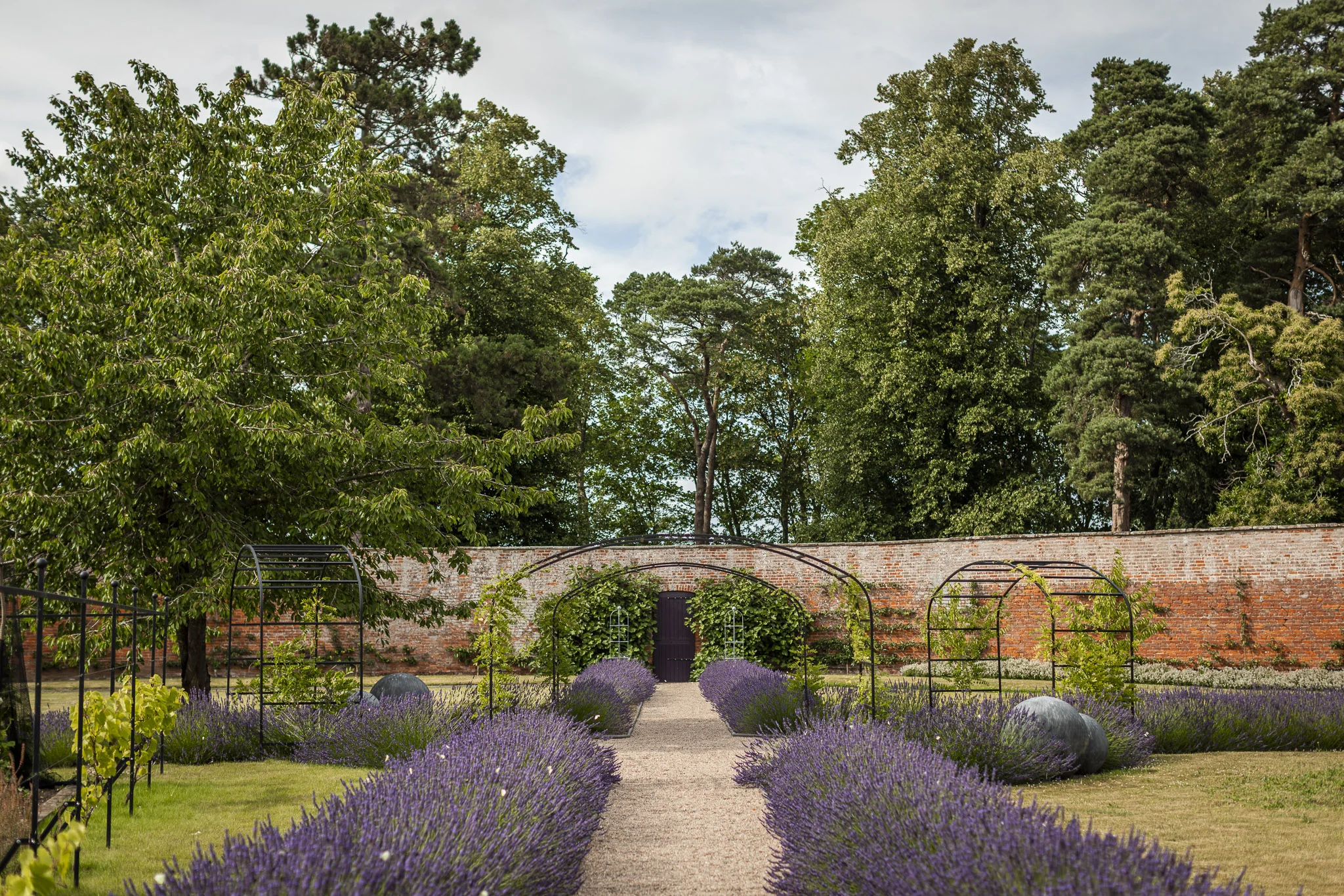 Walled Garden (Online)-14